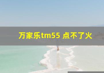 万家乐tm55 点不了火